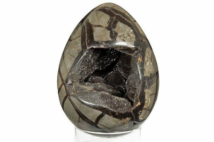 Septarian Dragon Egg Geode - Black Crystals #185613